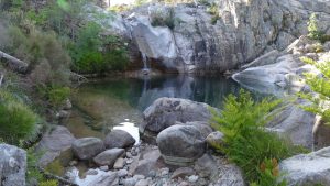 Campen Korsika Waterhole