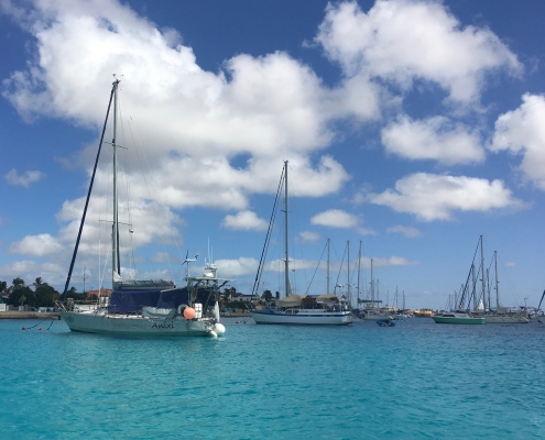 Anixi in Bonaire