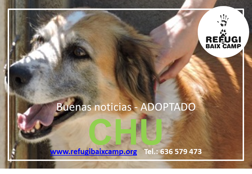 Adoptados | Nou Refugi Baix Camp