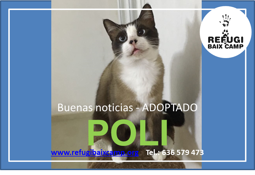 POLI ADOPTADO