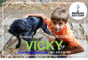 VICKY ADOPTADA