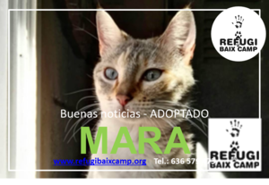 MARA ADOPTADA