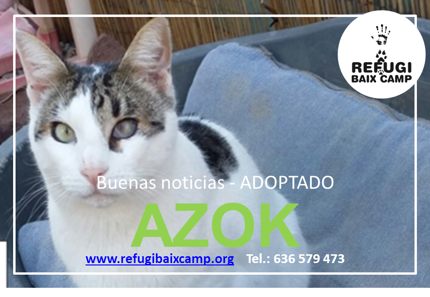 AZOK ADOPTADO