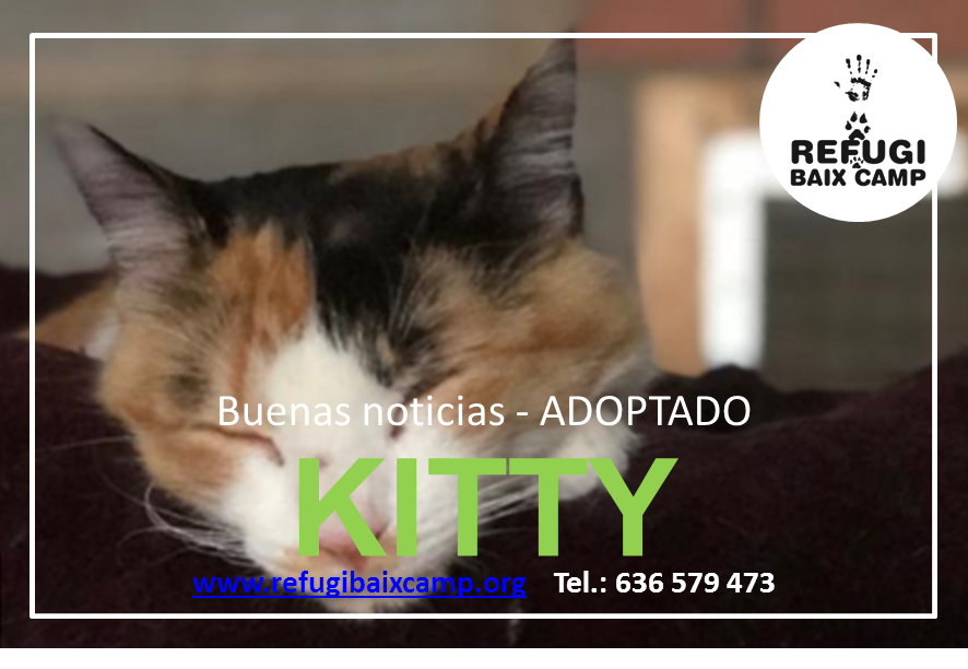 KITTY ADOPTADA