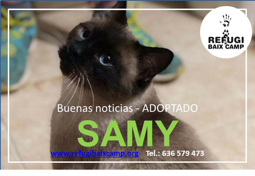 SAMY ADOPTADO