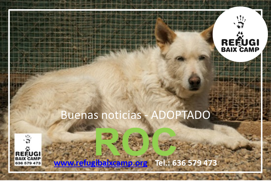 ROC ADOPTADO