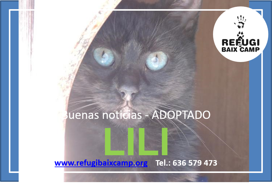 LILI ADOPTADA