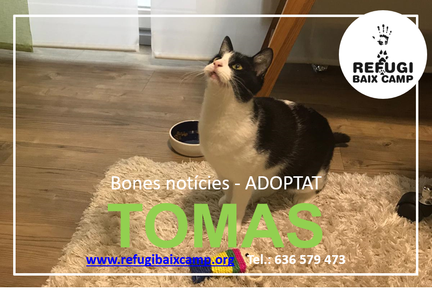 TOMAS ADOPTAT