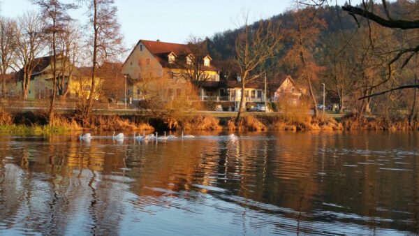 Landgasthof Birntaler, Kallmümz