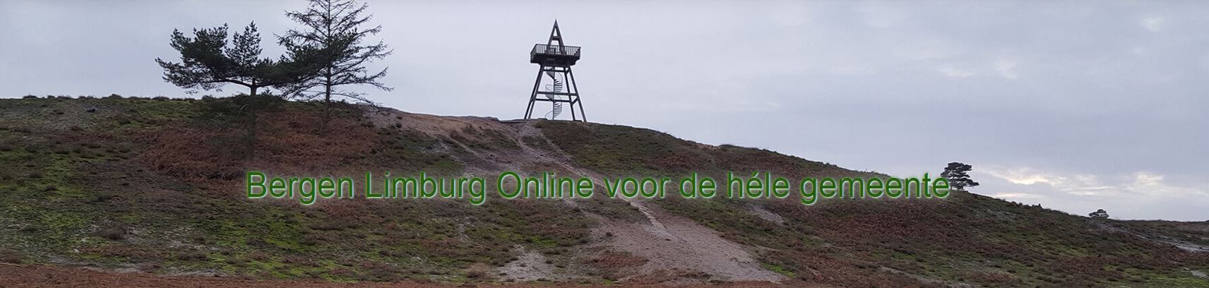 Bergen Limburg Online