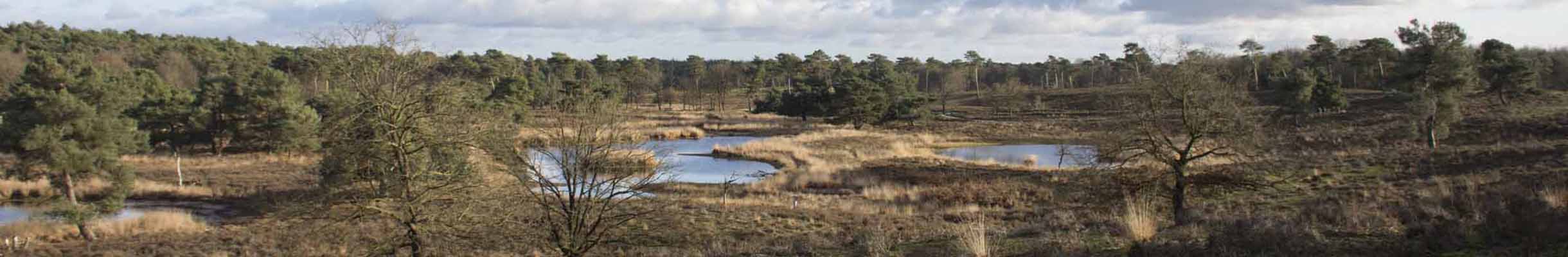 Regio-Maasduinen Quin