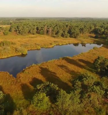 Eendenmeer Nieuw Bergen