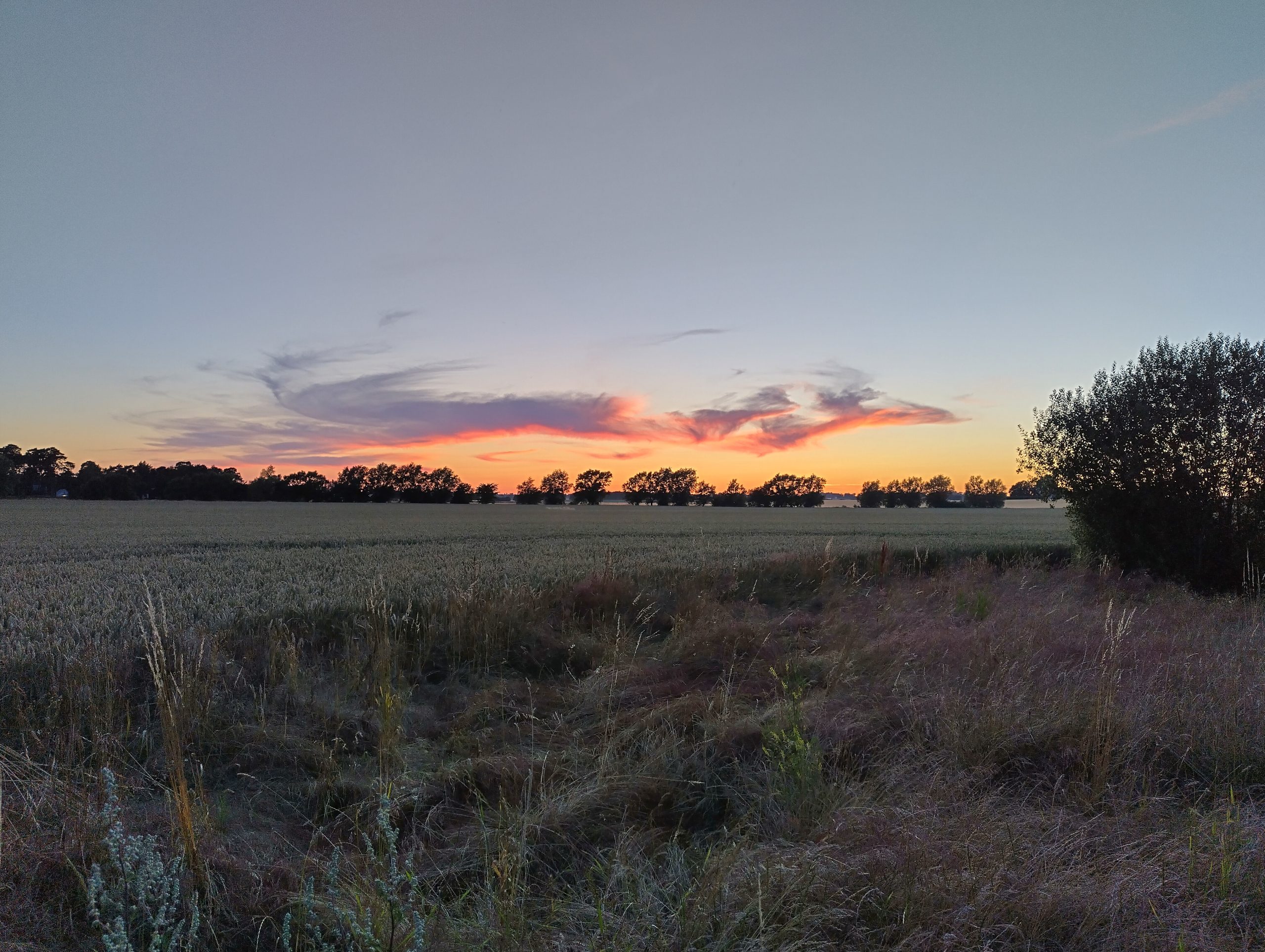 Sommar i Skåne – när maten är resmålet