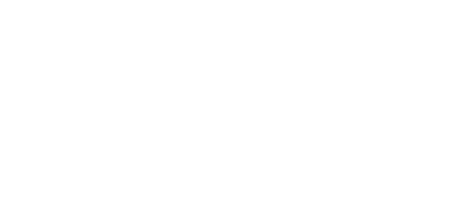 Regnskab Fyn