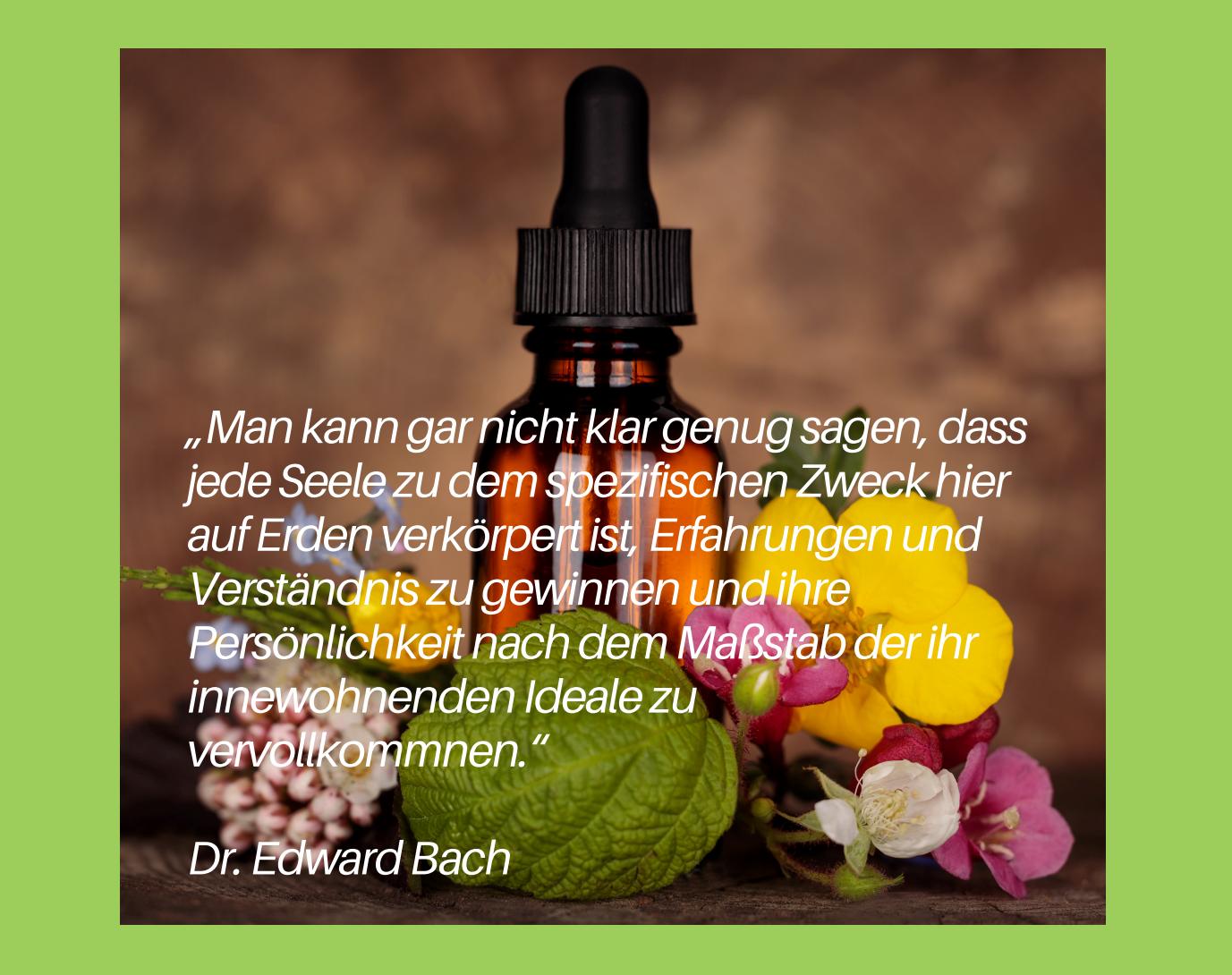 Bunt-Blüten Seminar