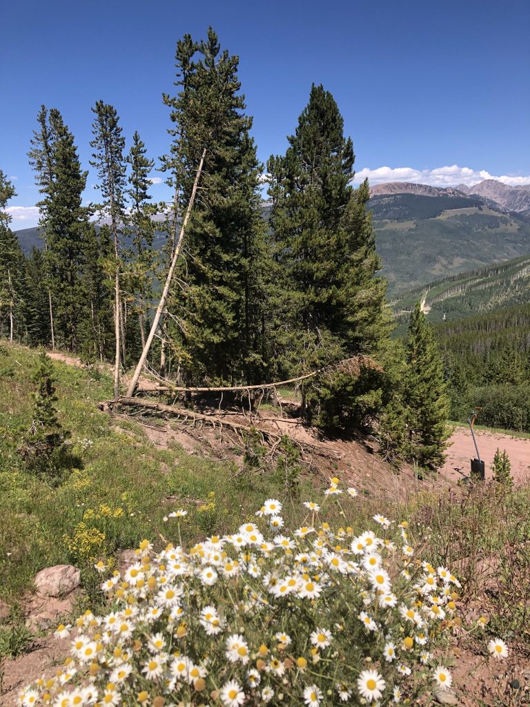 Explore the best alpine escapes. The view from Vail Mountain