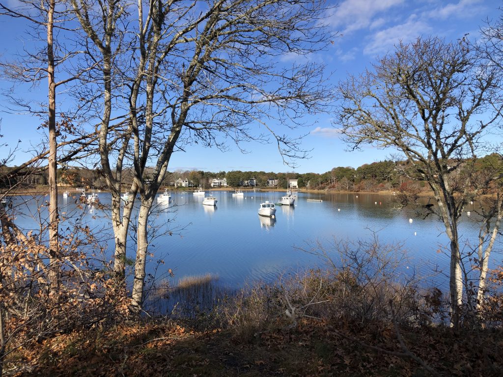 Scenic drive at Cape Cod