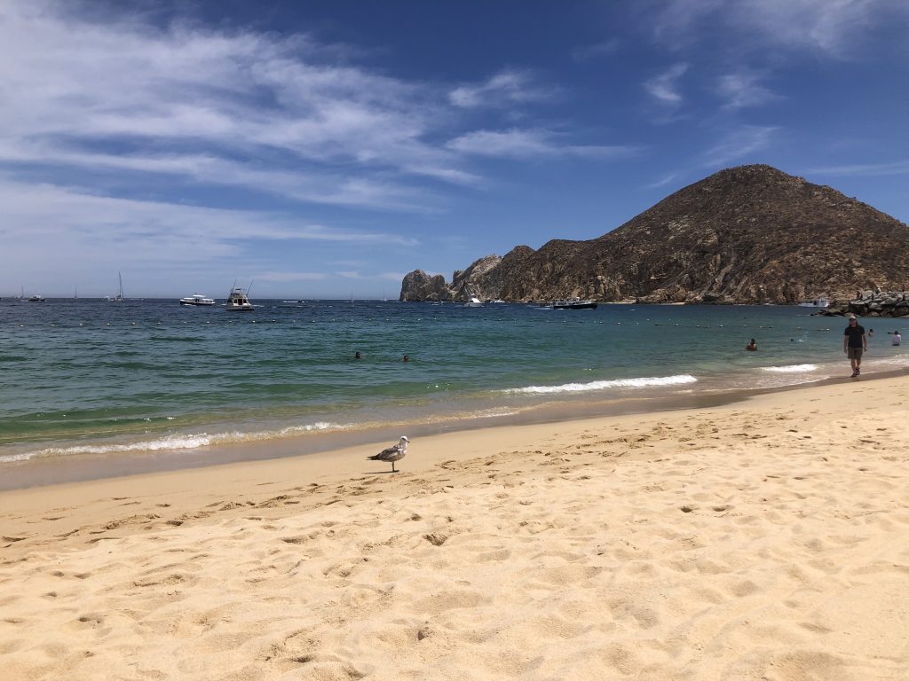 Make the Best of Your Los Cabos Vacation - Playa El Medano