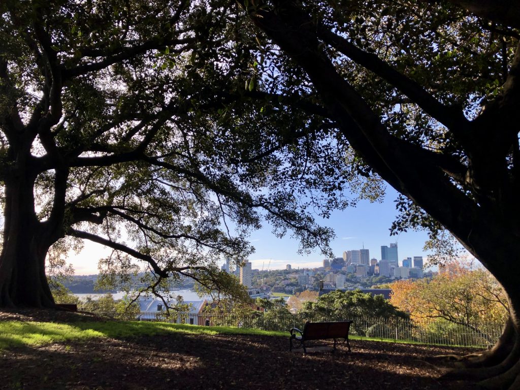 View of Darling Harbor from Observatory Park  is why Sydney is the ultimate travel destination 