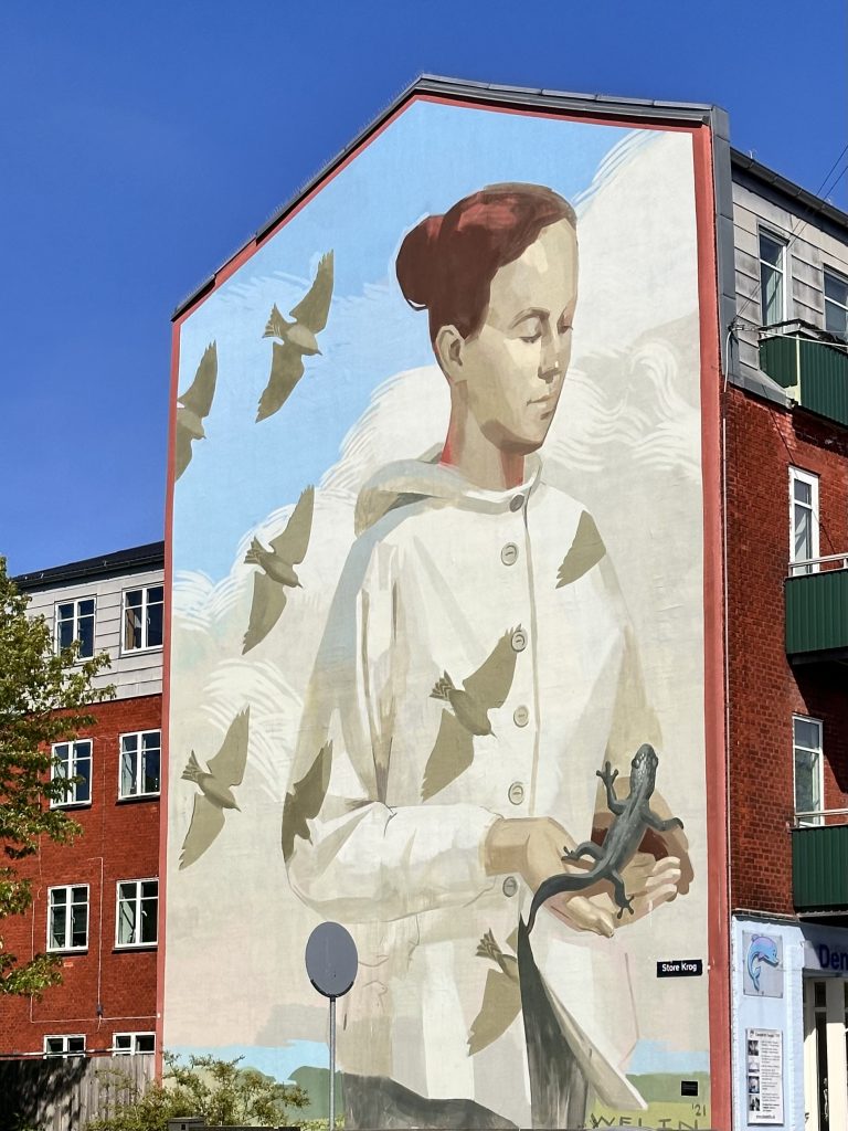 Mural from Amager in Copenhagen - a visual for transformation and connecting with true values.