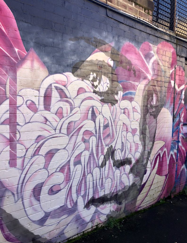 Mural from Katoomba in Australia of a woman's face symbolizing the many aspects of being a woman