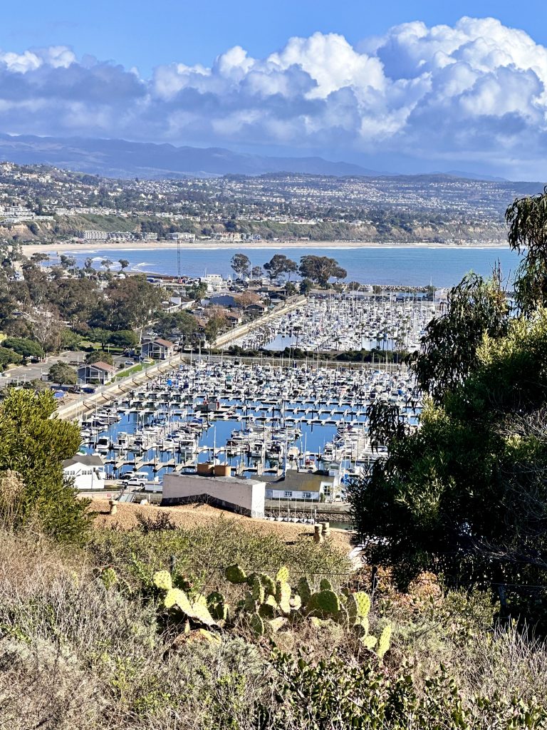 Dana Point Harbor from the View Point at Conservation Park 