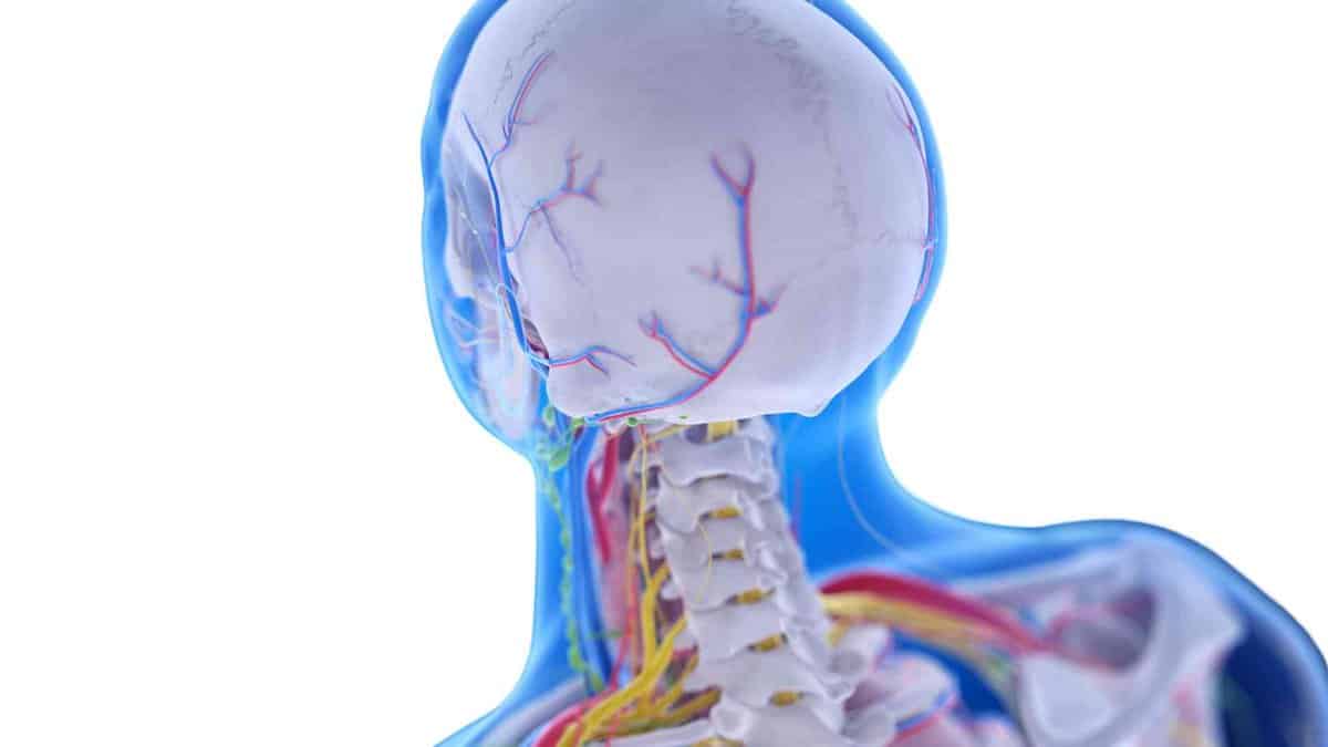 Interkostalneuralgie: Wenn ein Schmerz um die Brust zieht 2