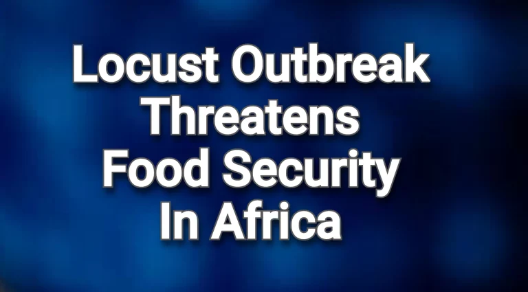 Locust Outbreak Threatens Food Security In Africa And Other Parts Of The World