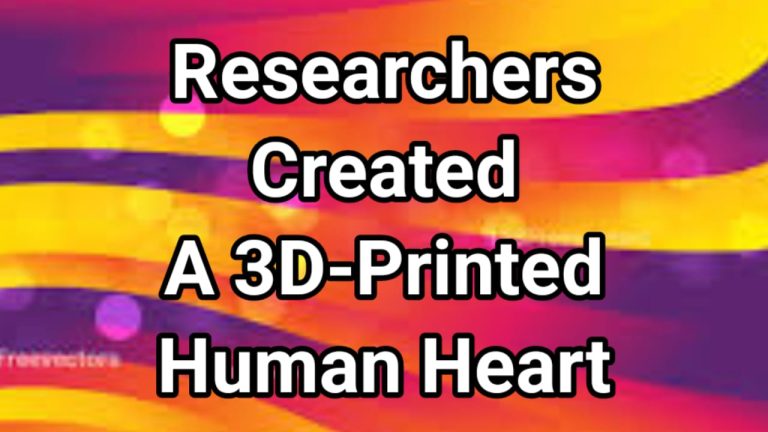 A Team Of Researchers Has Created A 3D-Printed Human Heart Model: It Could Pave The Way For Creating Fully Functioning Organs