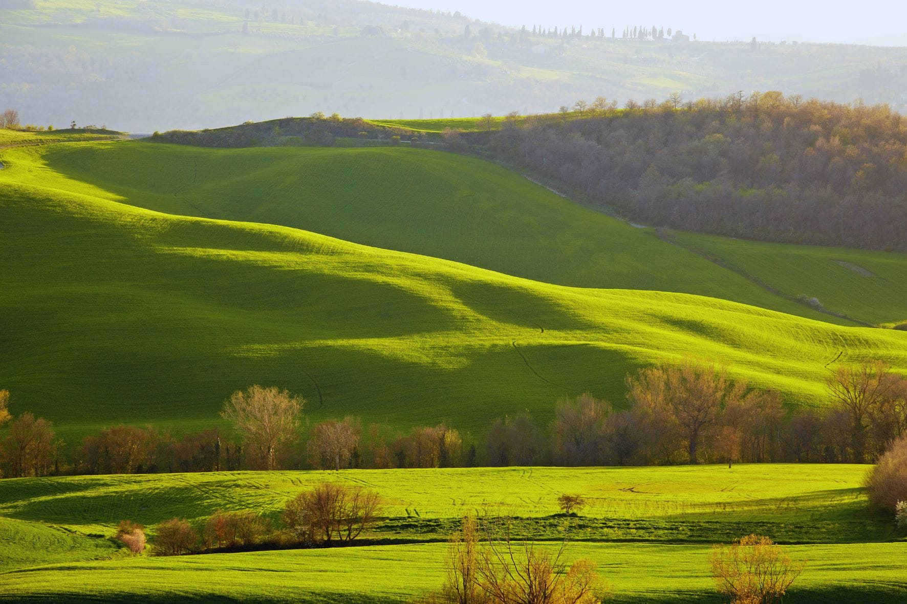 Abschied von der Toskana und den Reisegefaehrtinnen Unsere Frauenreise nach Italien führt uns in die wunderschöne Kulturlandschaft der Toskana. Wir verbringen mehr als eine Woche auf dem traumhaften Bio-Weingut in der Villa Spoiano, einem Agriturismo, der alle unsere Wünsche erfüllt. Schon hier erwartet uns reiner Genuss, von Weinverkostungen über köstliches Essen bis hin zu einer Kräuterwanderung und einem original italienischen Kochkurs. An drei Tagen besuchen wir die schönsten Städte der Toskana, allen voran natürlich das umwerfende Florenz. Diese Stadt muss man einfach gesehen haben!Bei dieser Frauenreise nach Italien schreiben wir Genuss und Entspannung groß. Wir lassen die Tage langsam verstreichen, mit Zeit zum Austausch und für sich allein, wem der Sinn nach Ruhe steht. Wir finden, diese Reise ist perfekt für alle, die die großartige Kultur, Gastronomie und Gemeinschaft mit anderen Frauen erleben möchten. Wir Reisegefährtinnen freuen uns auf dich!