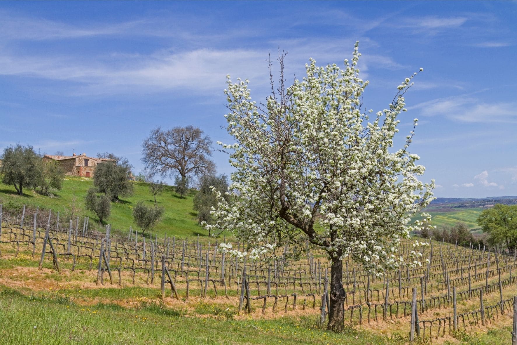 Frühling in der Toskana auf unserer Frauenreise nach Italien mit den Reisegefährtinnen