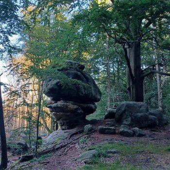 Landschaft in der Sächsischen Schweiz