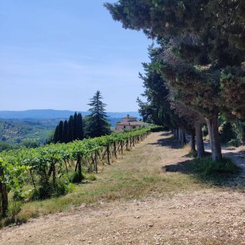 Bei unserer Frauenreise nach Italien übernachten wir auf einem Bio-Weingut