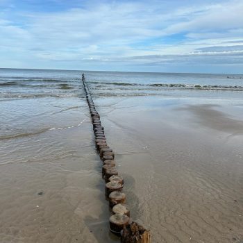 Holzbohlen führen ins Meer hinein