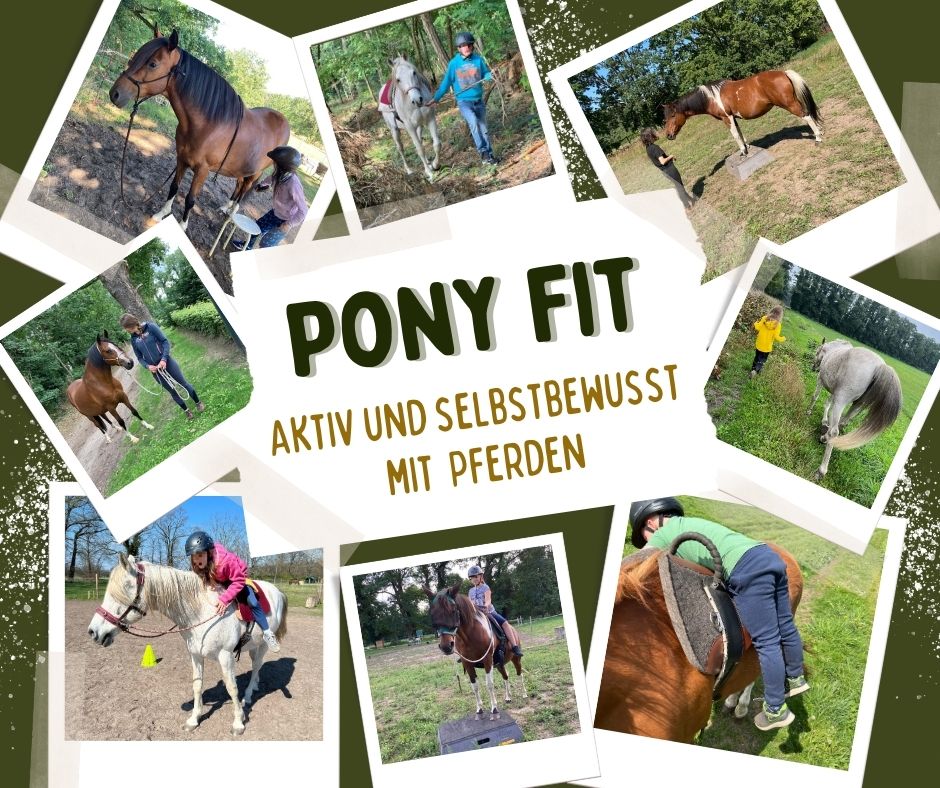 Pony Fit - Aktiv und selbstbewusst mit Pferden