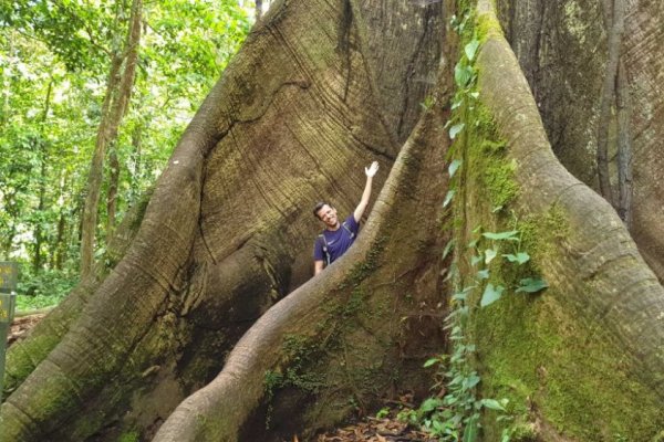 Arenal-national-park