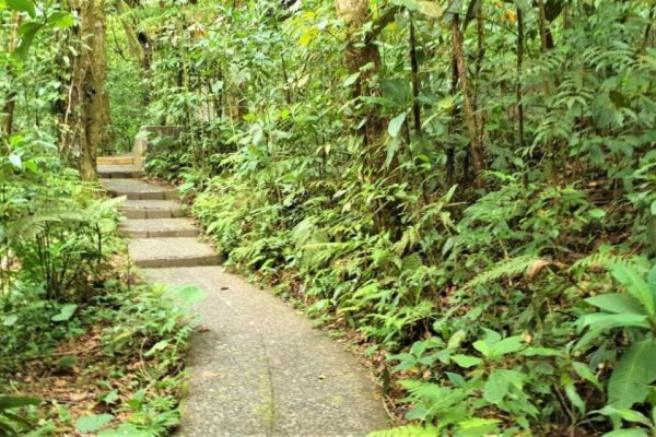 Manuel Antonio sti