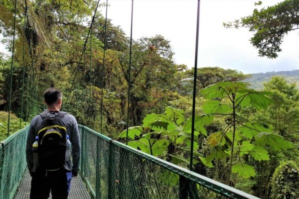 Monteverde