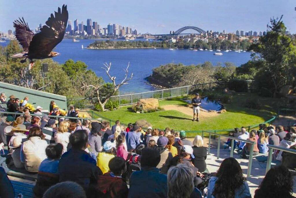 Taronga zoo
