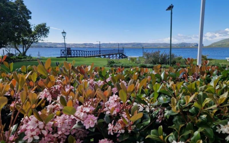 Lagune ved Knysna