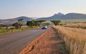 Sydafrika safari roadtrip