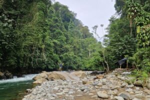 Jungletur Sumatra Indonesien