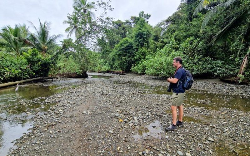 På eventyr i corcovado nationalpark Costa Rica