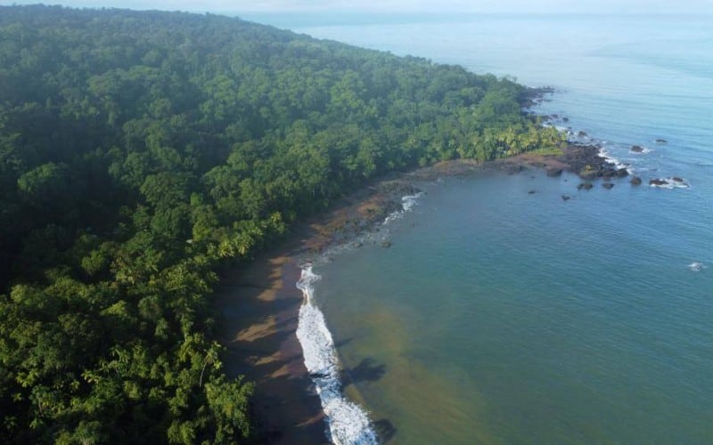 Smukke Corcovado Nationalpark