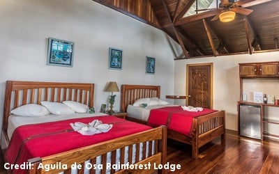 hotel_aguila-de-osa-rainforest-lodge