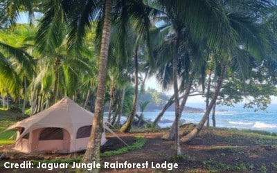 hotel_jaguar-jungle-rainforest-lodge