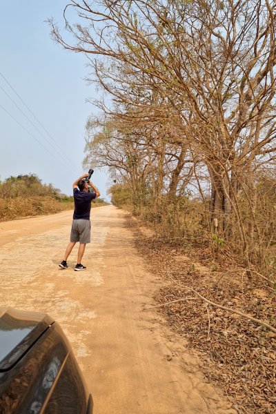 Fotostop Pantanal