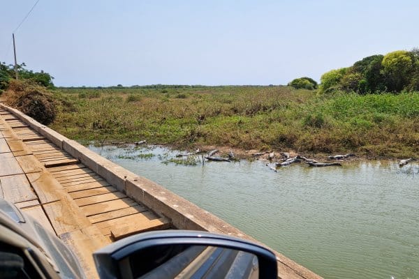 Kør selv Pantanal