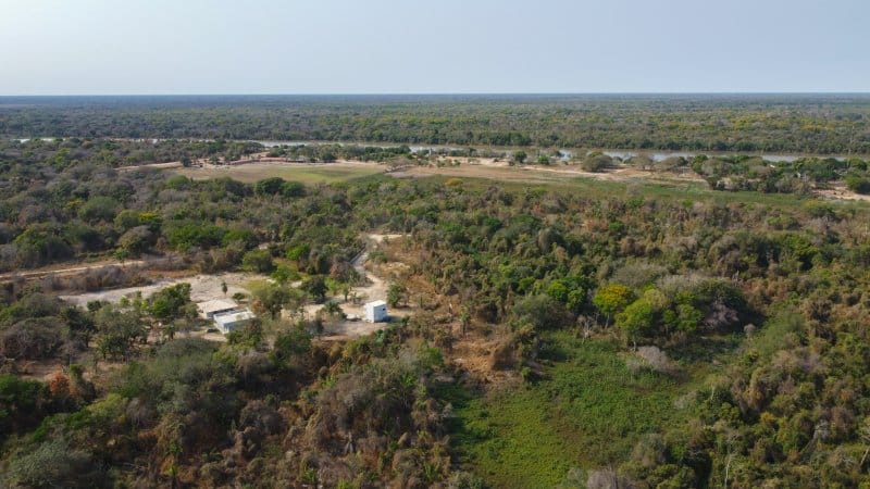 Porto Jofre Pantanal