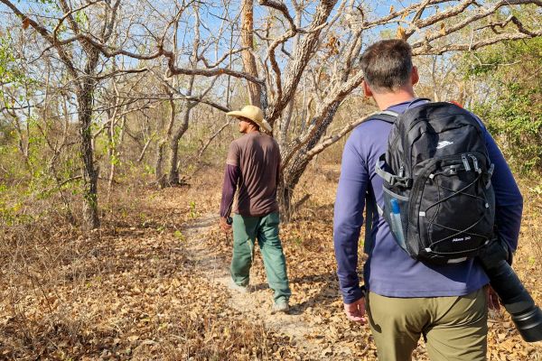 Vandretur i Pantanal